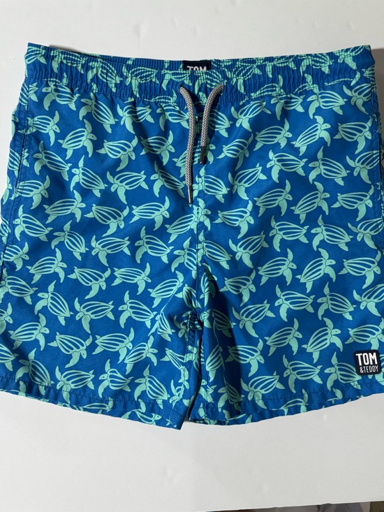 Tom & Teddy Other - Tom & Teddy Blue Swim Trunks with Blue and Green Turtle Print